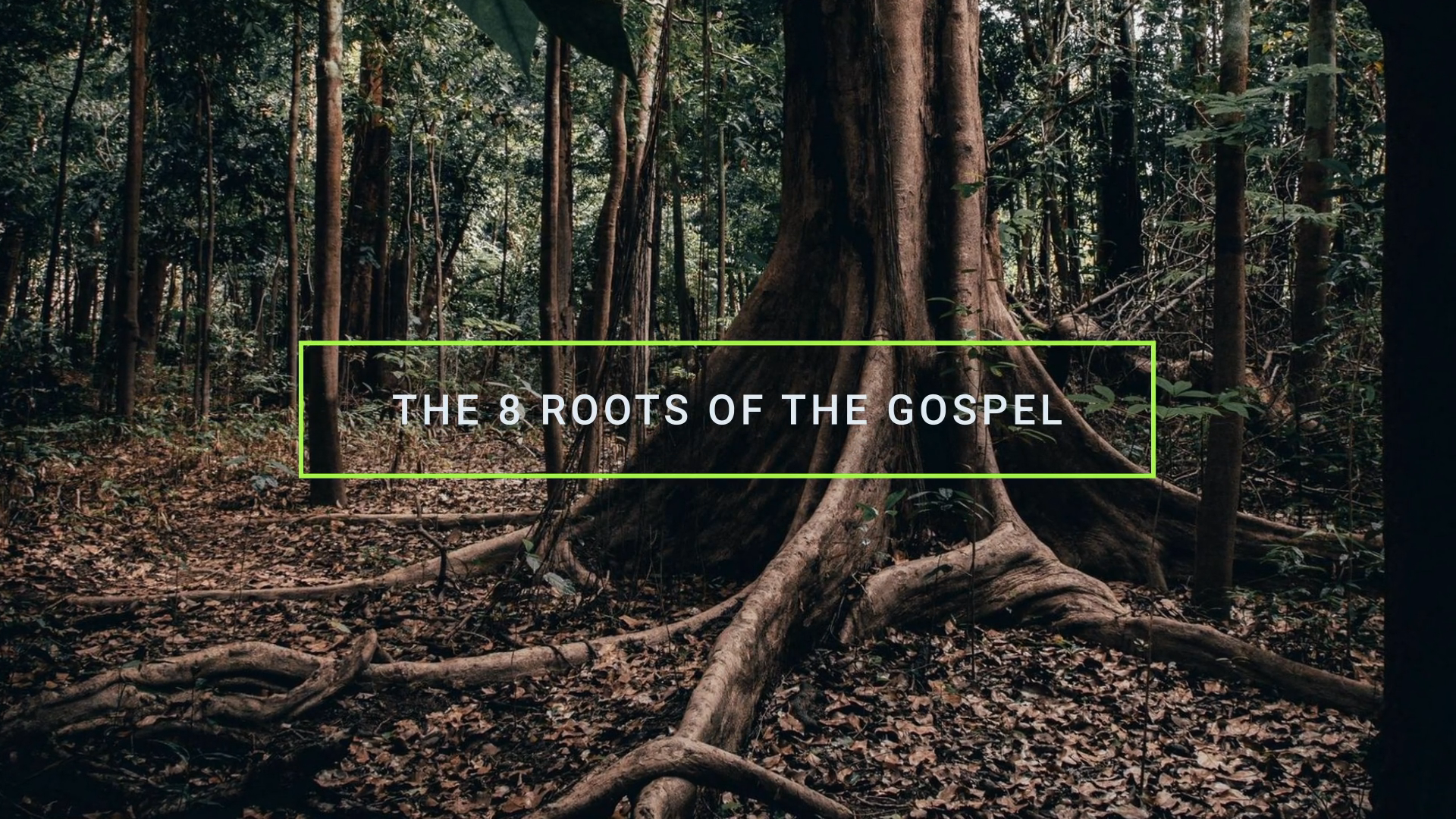 Video_Thumbnail_8Roots